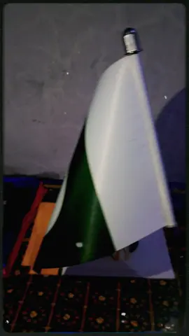 double table flags  Pakistan's no 1 Quality Guaranteed  for order  Whatsapp 0326-1808385 #foryoupage #viralvideo #videoviral #flags #design 