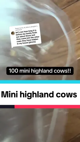 Replying to @its_all_about_beagles I love little mini things and love highland cows!! Have fun hiding these all over !! #highland #cow #cows #highlandcow #minis 
