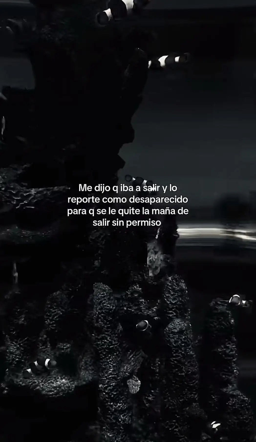 #paratiiiiiiiiiiiiiiiiiiiiiiiiiiiiiii #videosvilaressssssssssssparati #sigueme_para_mas_videos_asi #paratiiiiiiiiiiiiiiiiiiiiiiiiiiiiiii #videosvilaressssssssssssparati 