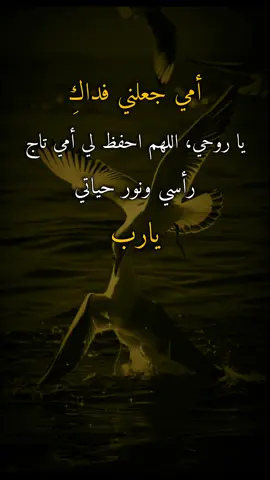 #اقتباسات #عبارات #ايرين #أمي جعلني فداكِ يا روحي، اللهم احفظ لي أمي تاج رأسي ونور حياتي يارب