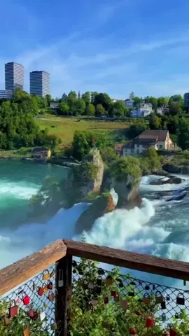 كن جميلا ترى الوجود جميلا فالعين التي تحب ترى الجمال في الضباب والقلب الذي يؤمن يجد الخير في كل خبر والنفس التي تحسن الظن ترى النور في كل ظلام #الحياة #كلام_من_ذهب #كلام_من_الأعماق #خواطر #creatorsearchinsights 