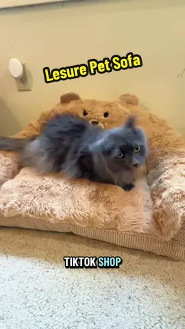 #Lesure #Lesurepet #bearsofa #PetsOfTikTok #TikTokShopRestock @Lesure Pet 