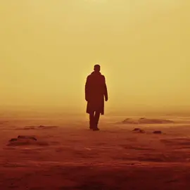 Beautiful film || #bladerunner2049 #officerkedit #literallyme #viral #fyp 