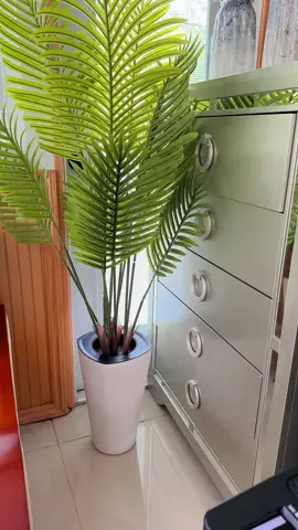 Palma decorativa . #palma #palmas #palmadecorativa #palmitas #plantasartificiales #plantasdeinterior #platasdecorativas 