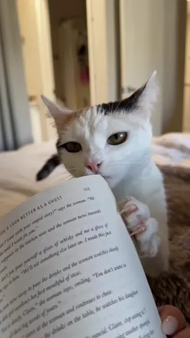 I’m sorry to the friend I’m borrowing this book from #fyp #BookTok #catsoftiktok #funnycats #catmom 