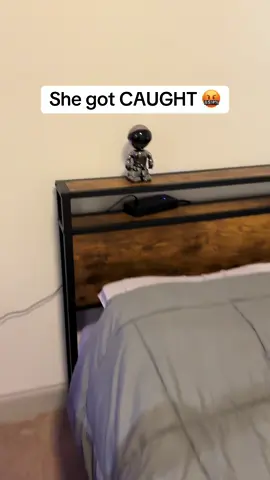 I finally caught her 😡 #securitycamera #homesafety #petcamera #hiddencamera #security 