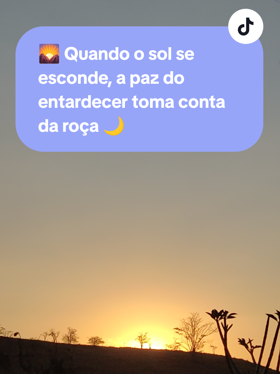 🌄 Quando o sol se esconde, a paz do entardecer toma conta da roça 🌙🌿#entardecer #sitio #lugardepaz #vidanaroça 