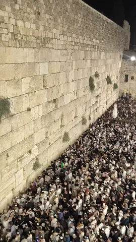 #פוריוישראל #עםישראלחי #כותל #סליחות #ירושלים 
