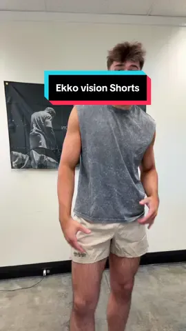 Highly recommend this!! #shorts #ekkovision 