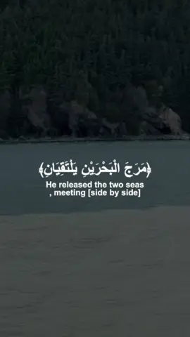#قران_كريم #قرآن 