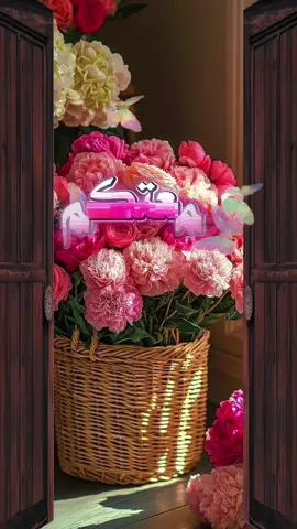 #حالات #ستوريات #يوم_الجمعة #صباح_الخير #صباحاتي 