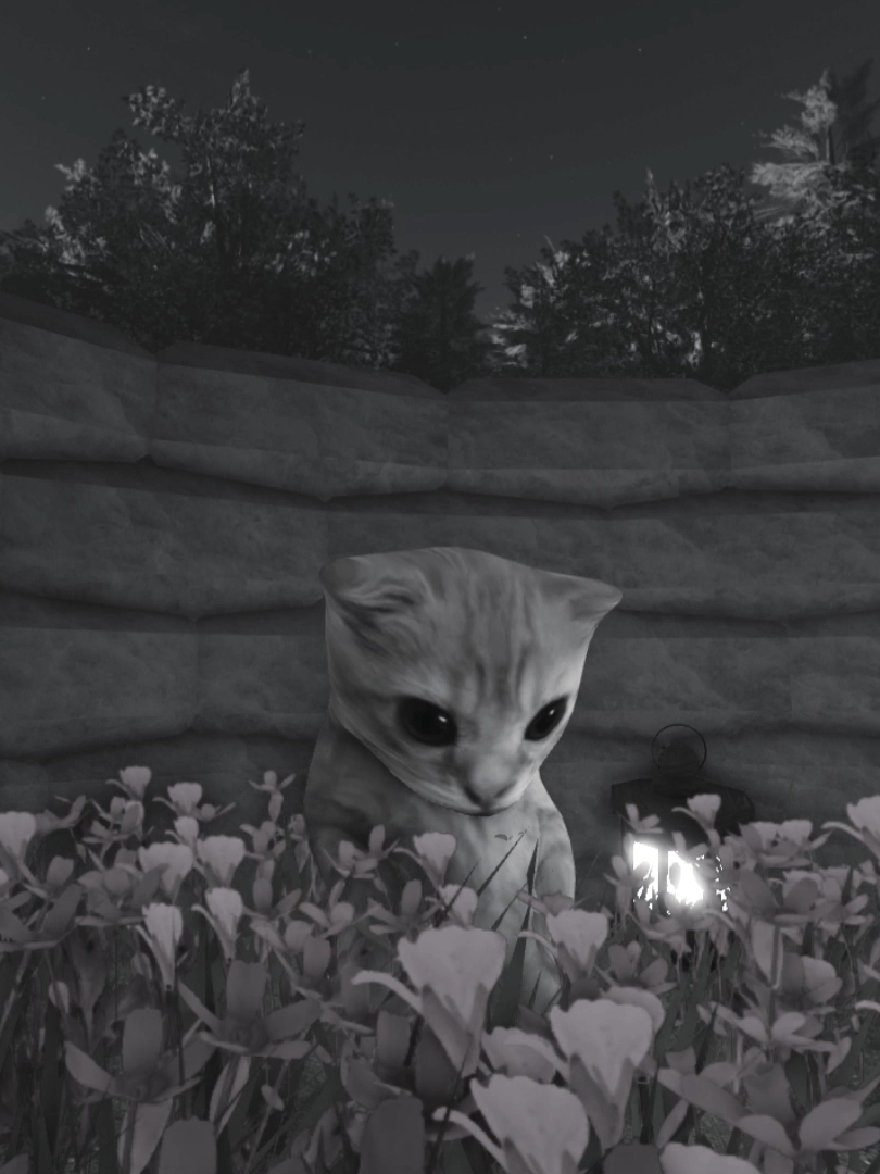 Dedicaselo #tiagopzk #bemaste #bemastetiagopzk #paradedicar #parati #fyp #peru #roblox #gato