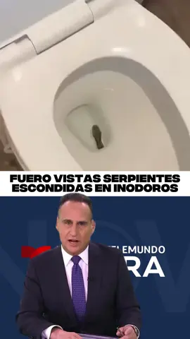 #breakingnews #latinousa #news 