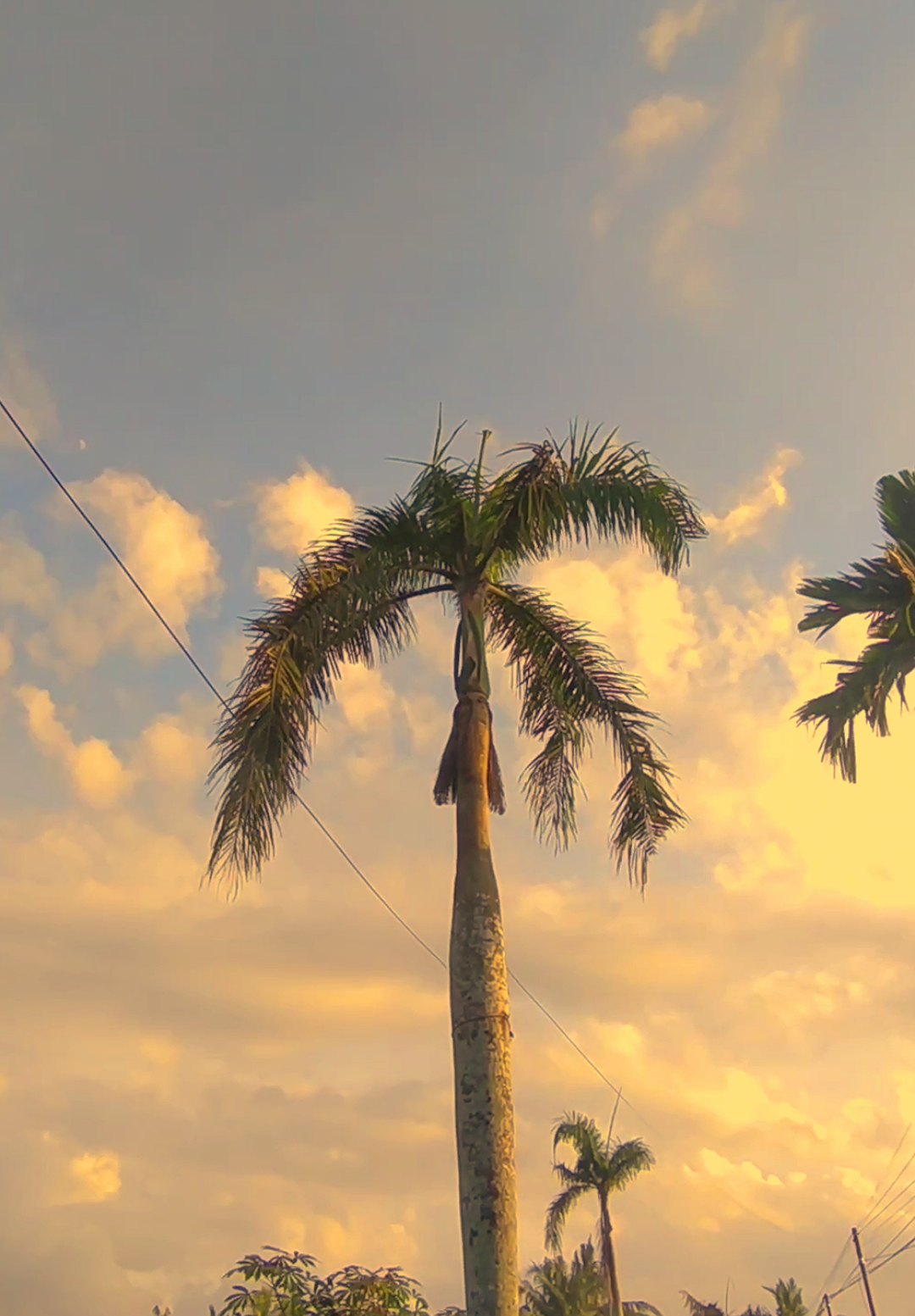 vibes 2019 #vibes2019 #masukberanda #fyp #nostalgia #sunset 