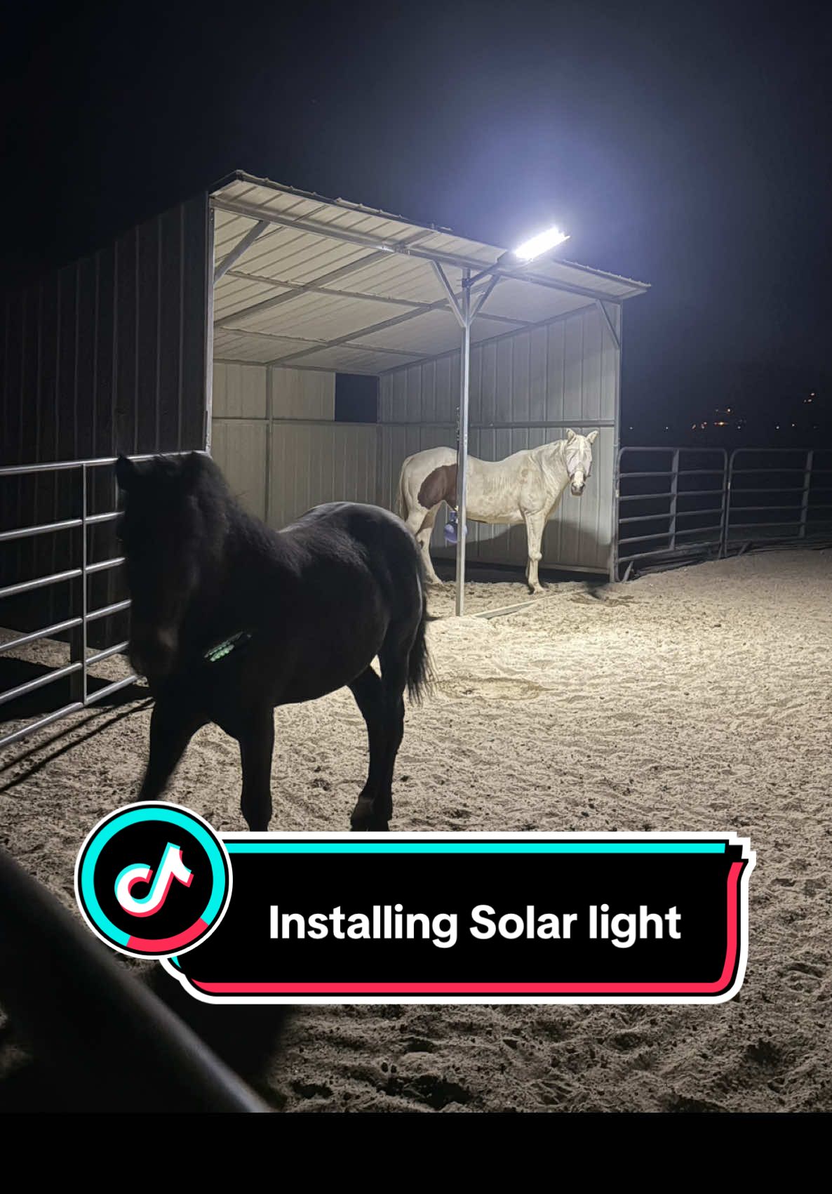 Ever since my horse got attacked by a mountain lion or whatever it was at night I’ve been paranoid (but that’s another story). But one thing we did to scare off predators and make them less stealthy was adding lights around our property. So far everything is looking GREAT! I’m actually very pleased with this solar and will definitely need more to add to my other stall for Mama Dola and Tyreek. #tiktokshop #solarlight #creatorsearchinsights #fyp #4up 