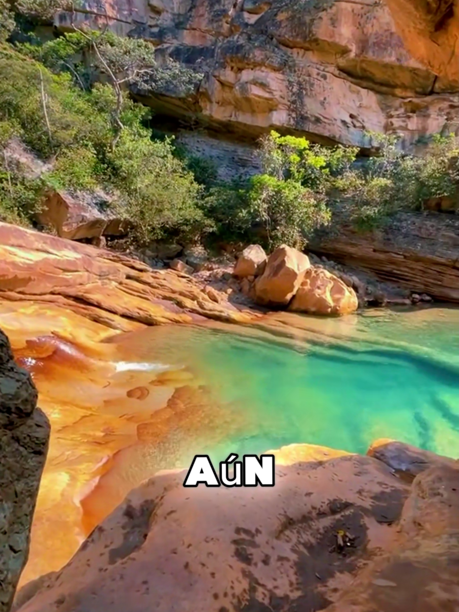 Los Pozos de las Minas son uno de los rincones más llamativos del municipio Lobatera, en el estado Táchira. Nacieron de antiguas explotaciones mineras que, con el paso del tiempo, fueron reclamadas por la naturaleza y transformadas en pozos de aguas cristalinas y de colores cambiantes, que van del verde esmeralda al azul profundo según la luz del día. Rodeados de montañas, silencio y vegetación andina, estos pozos se han convertido en un atractivo turístico para quienes buscan un lugar diferente, cargado de historia y un aire místico. Son ideales para paseos cortos, fotografía y contacto con la naturaleza en un entorno único del Táchira. 🌿💧✨ #Venezuela #datoscuriosos #viral #usa #misterio #creatorsearchinsights #historia #Naturaleza #tachira