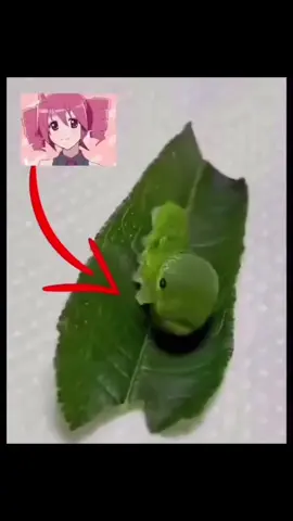 Teto teto #kasaneteto #vocaloid #anime 