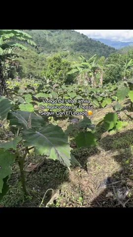 #lomejordetiktok                            #videoviralenelcampo                   #videodeagricultura #cosechademaiz#delamanodedios🙏🌈🤝 