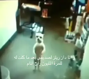 حرفيا ههههههههههههههههههههههه #fyp #foryou #شعب_الصيني_ماله_حل😂😂 #اكسبلور #لايك 