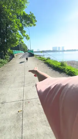 Chó chạy 70km/h là có thật, ga kịch kim mới thoát 😢😢😢. AI MUÔN THỬ KHÔNG 😃