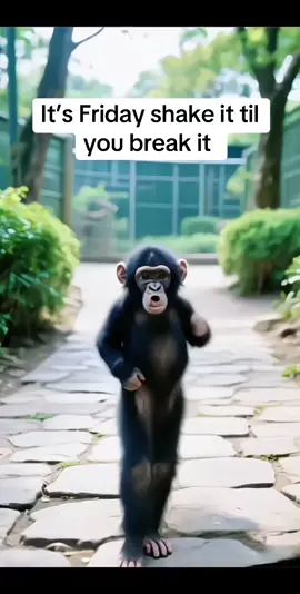 #CapCut 