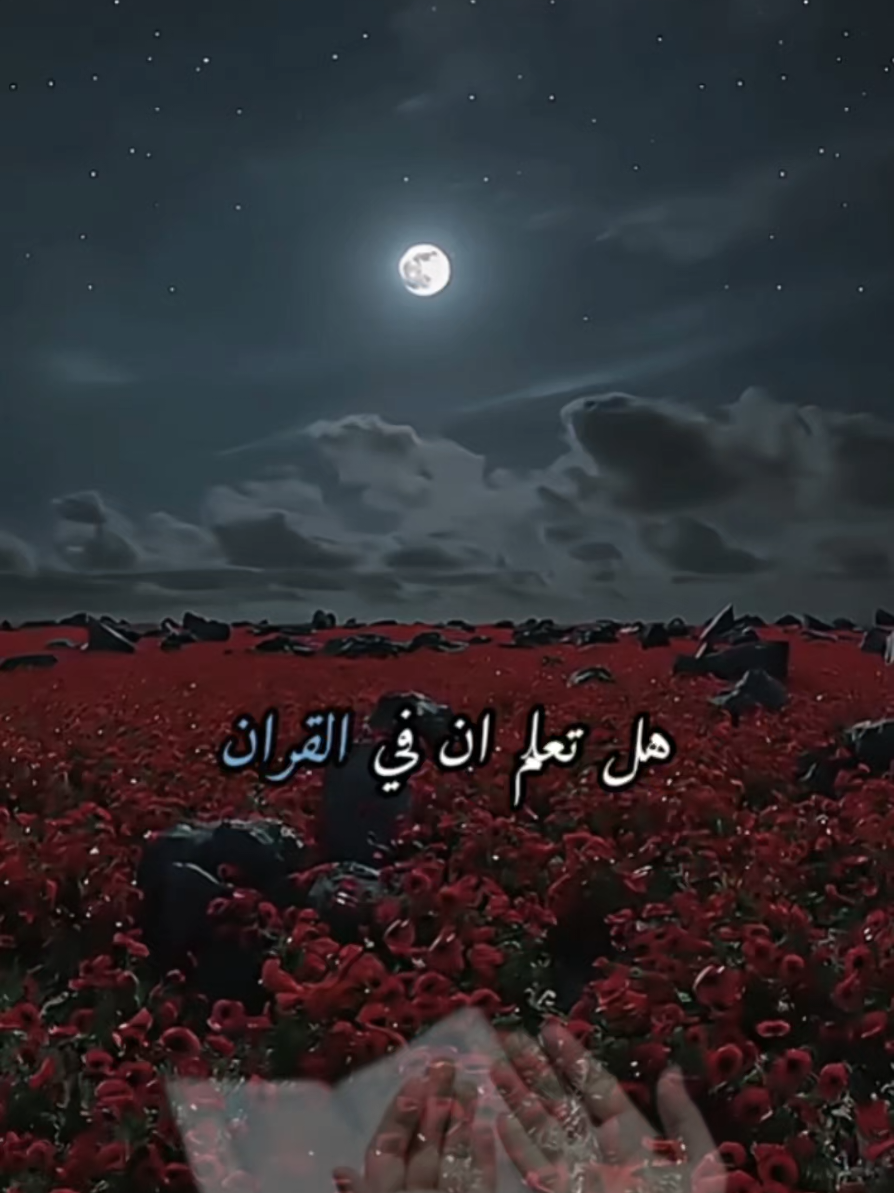 هل تعلم أن سورة البقرة هي مفتاح الهداية، ودرع ضد السحر والعين، وطريق الطمأنينة والرزق؟ اقرأها ليلاً، وادعُ بهذا الدعاء لتُفتح لك أبواب الفرج والبركة والنور. #سورة_البقرة #فرج #بركة #قرآن #fyp 
