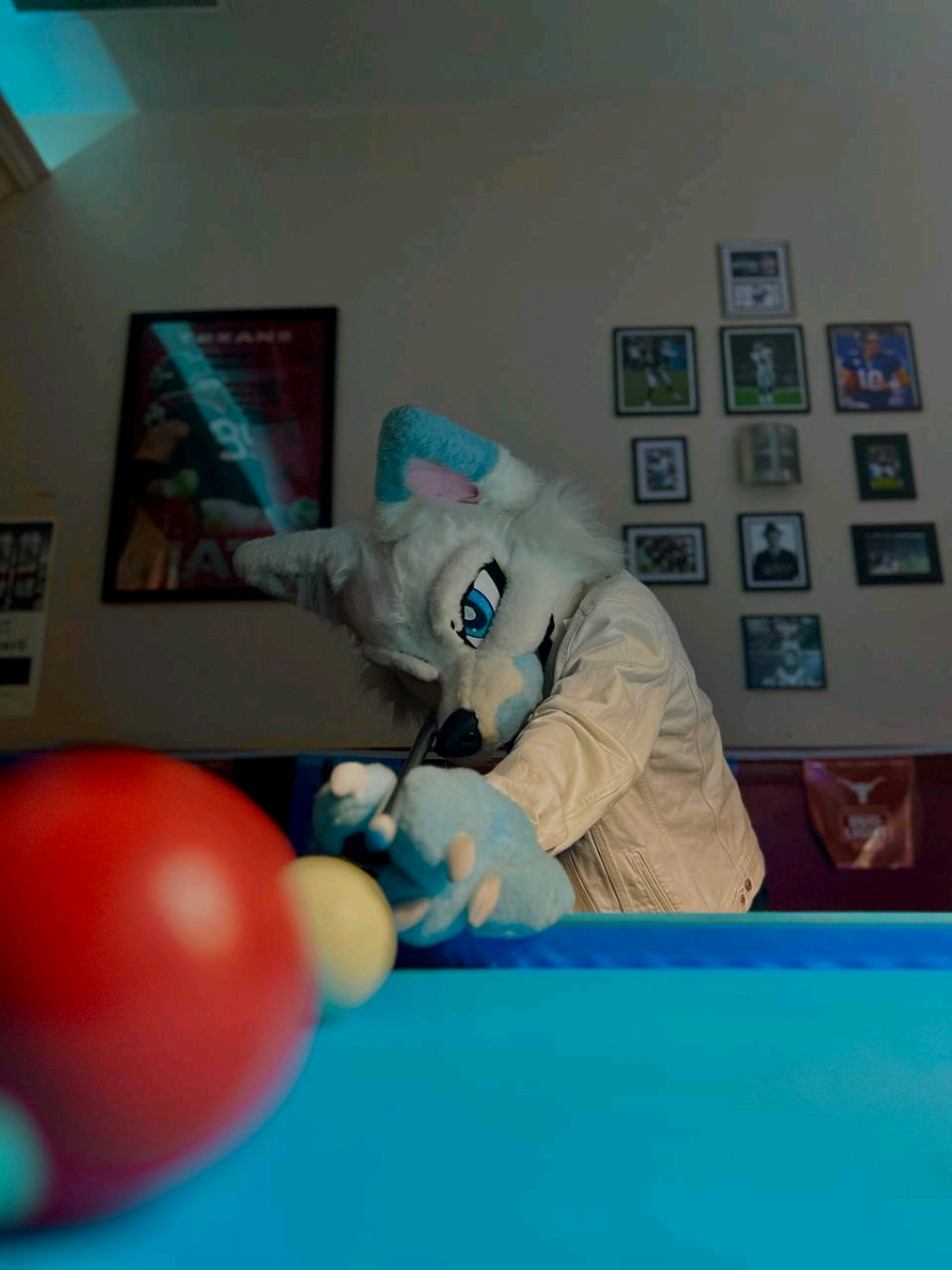 Who said dogs dont like pool? 🎱 .  . #8ball #bar #pool #furry