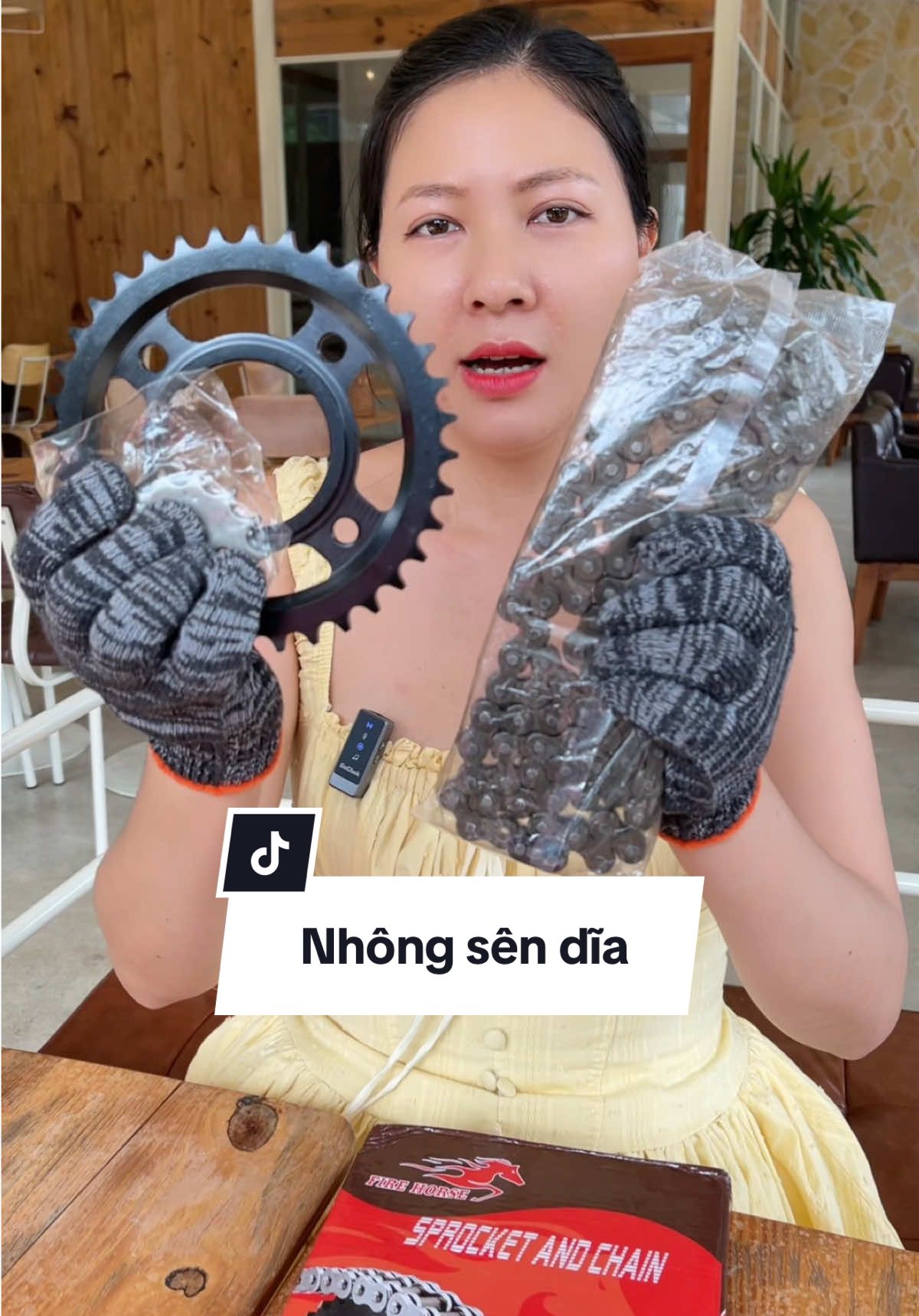 Nhông sên dĩa#trending #nhongsendia 