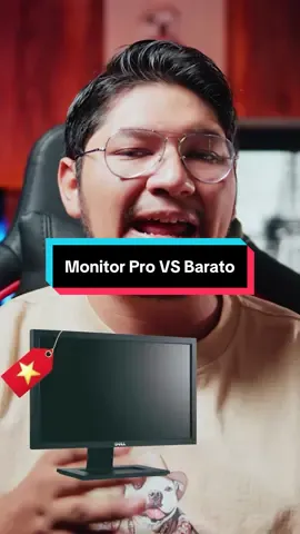 Monitor Pro vs Monitor Barato 🤯🔥
