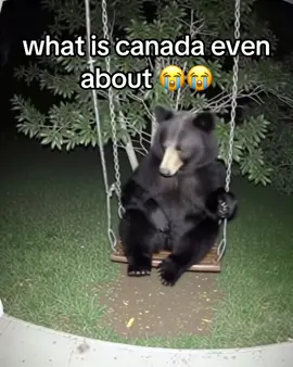 #canada #funny #memes 