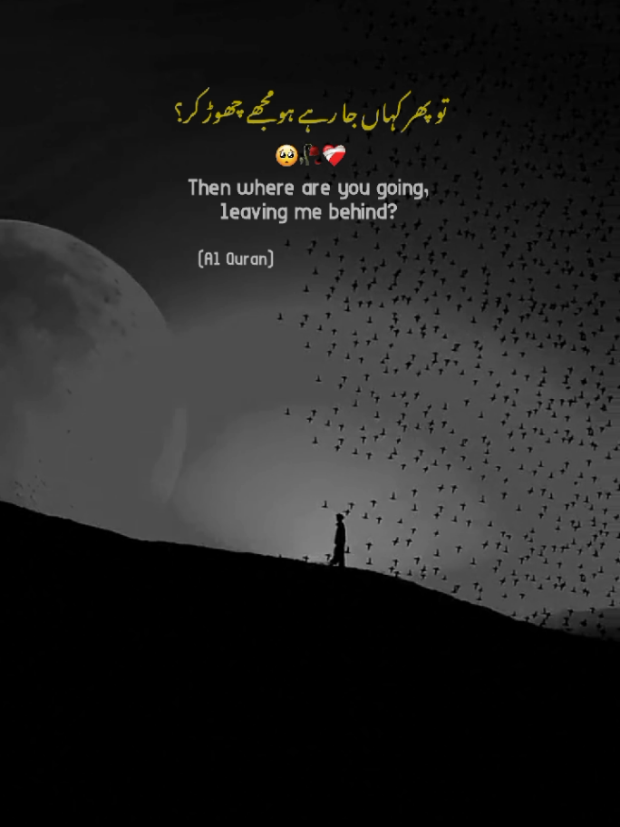 When I read in the Quran 🥺🤲🏻 || ALLAH 🕋💓 || Jummah Mubarak 💓 || Islamic Video ✨ || Islamic Lines ❤️‍🩹 || Status Video ✨ || Rabi Ul Awal ends 🌙🤲🏻 #islamic_video #jummahmubarak #statusvideo #islamicquotes #Alquran 