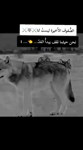 #fyp #f #F #شلفاوة_والحلاوة🔥 #شعب_الصيني_ماله_حل😂😂 
