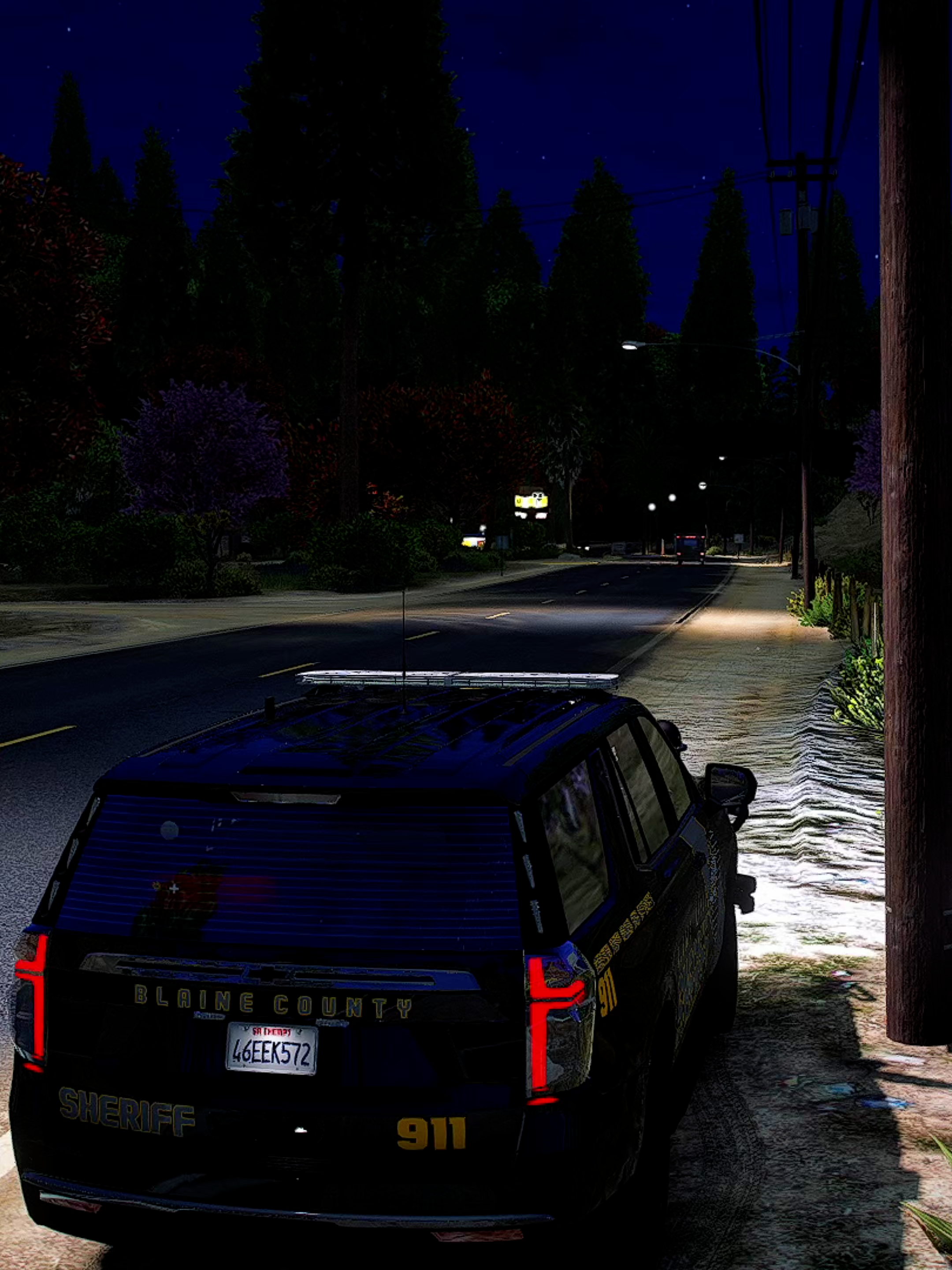 Emergency Assistance #lspdfr #fivem #gta5mods #gtarp #gta #grandtheftauto5 #gta6graphics