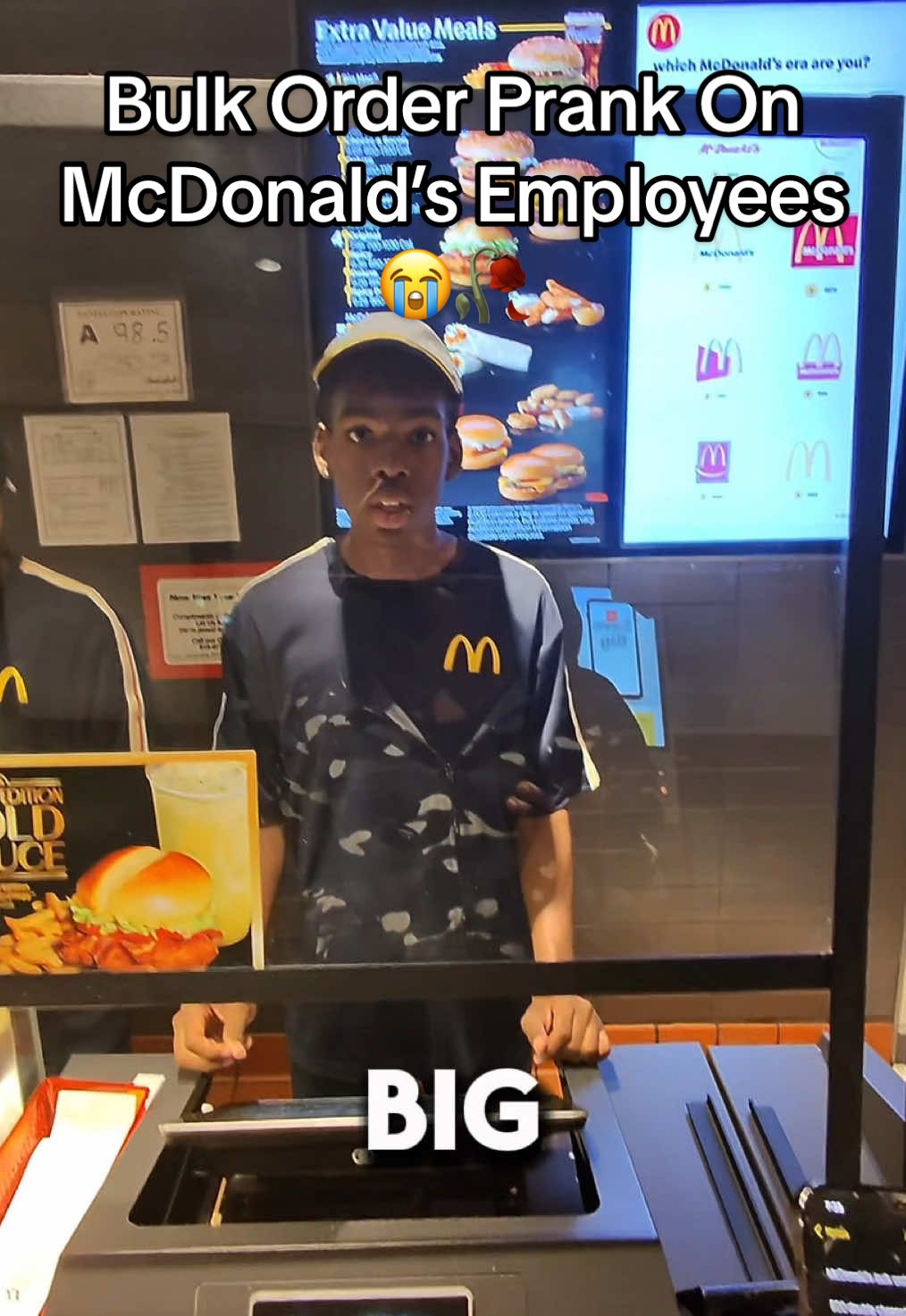 #bulkorderprank #fyp #pov #mcdonalds #prank 
