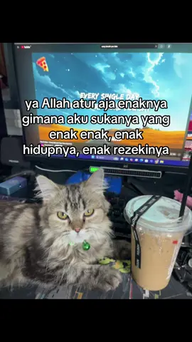 #rifqistore 