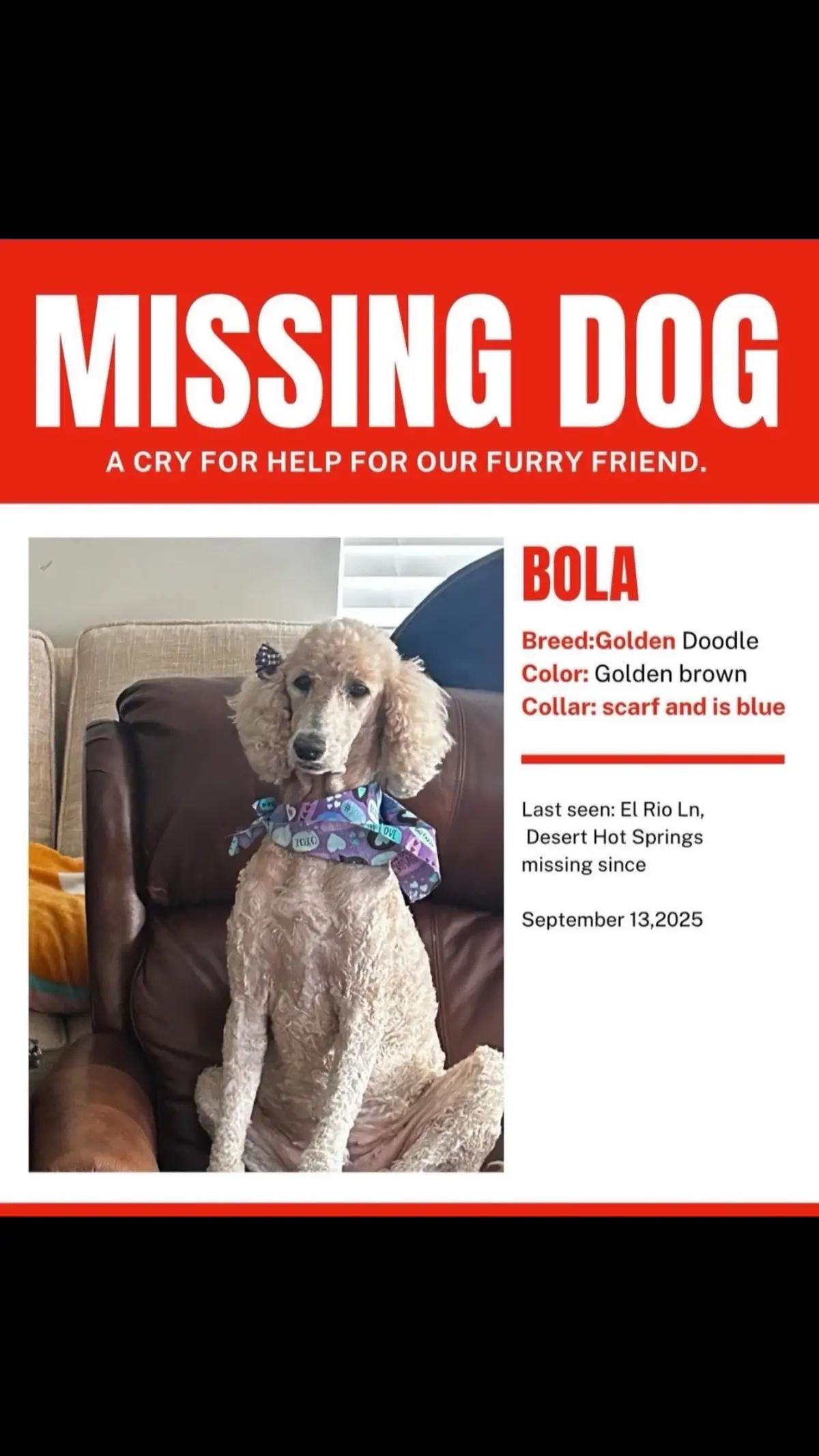 We miss our baby girl so much: if anyone has seen her or have her please return her home to us. She means so much to our family, and we pray that she comes back home🥺💗Contact me if any information. Help us by sharing this post.❤️