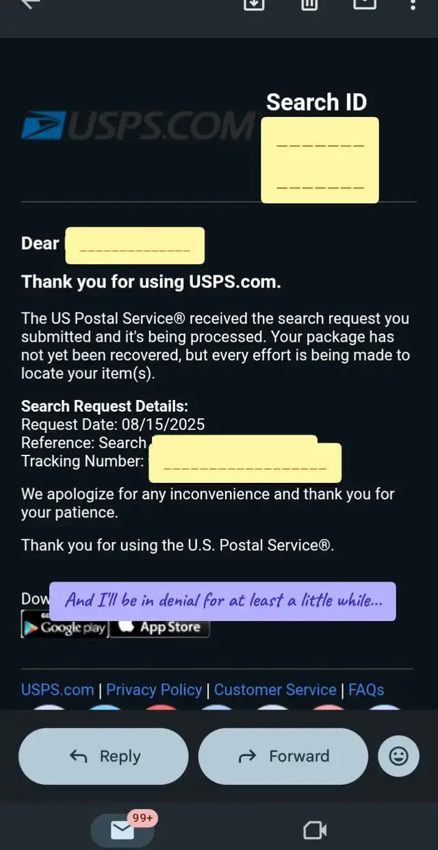 I just want my bench snow globe I was so excited to get it #snowtales #snowglobe #benchsnowglobe #lostmail #lostuspspackage @SnowTales_Custom❄️ 