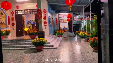 Ngày Xuân long phụng sum vầy #chill #binhyen #mientay #tet #xu 