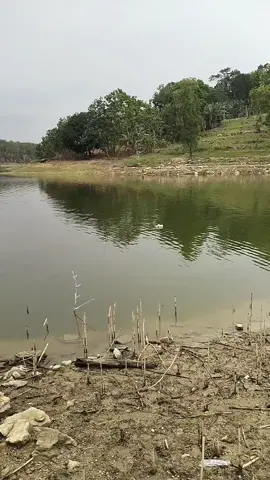 spot 3 jari lemu². #fyp #nyobok #infospotwko #mancing #viralhariini
