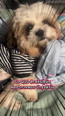 วิตามินบำรุง หัวใจ สุนัข ลดอาการเหนื่อย หอบ น้องหมาชอบ#วิตามินสุนัข #ทาสหมา #อาหารเสริม #น้ําทิพย์ชอบป้ายยา🧺  @น้ำ‘ทิพย์🕉️ 