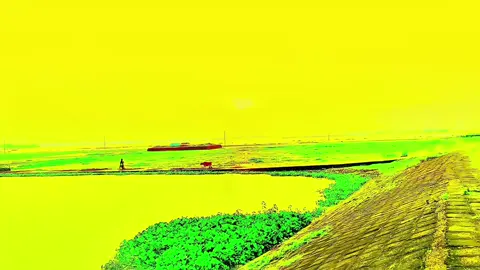 তুমি বন্ধু আমার চির সুখে থাকো..!🌿😅#প্রকৃতি #sky #unfrezzmyaccount #foryou #viralvideo 
