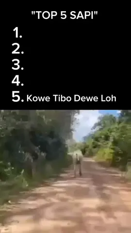 Top 5 Sapi #CapCut #fyp #masuk #viral #trending 