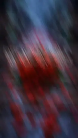 জানি_না_সুখ_কাকে_বলে#😢💔❤️🥰🥀#foryoupage #fyp #tiktok #sadiya🥀 @TikTok Bangladesh আইডি ফিউজ সবাই একটু সাপোর্ট করবেন প্লিজ 