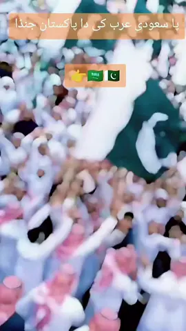 #pakistanzindabad #shibazshareef #pakpuoj #sanakhansana 
