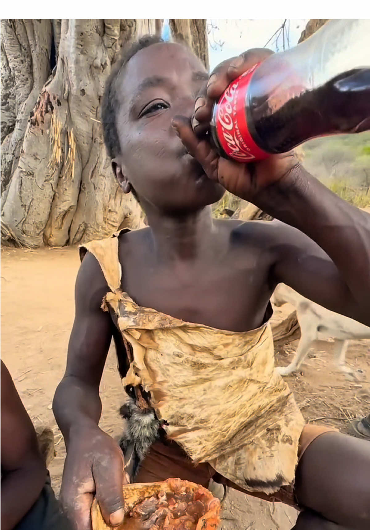 In the tribe, there is not only meat to eat every day, but also occasional drinks to drink. Do you envy such a life?#hadzabetribe #foryoupage #FoodLover #cooking #chaaba 