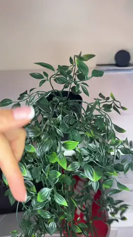 Artificial plants are my fav bc I don’t have to worry about them dying 😅 #tiktokshopcreatorpicks #plants #artificialplants #greenery 