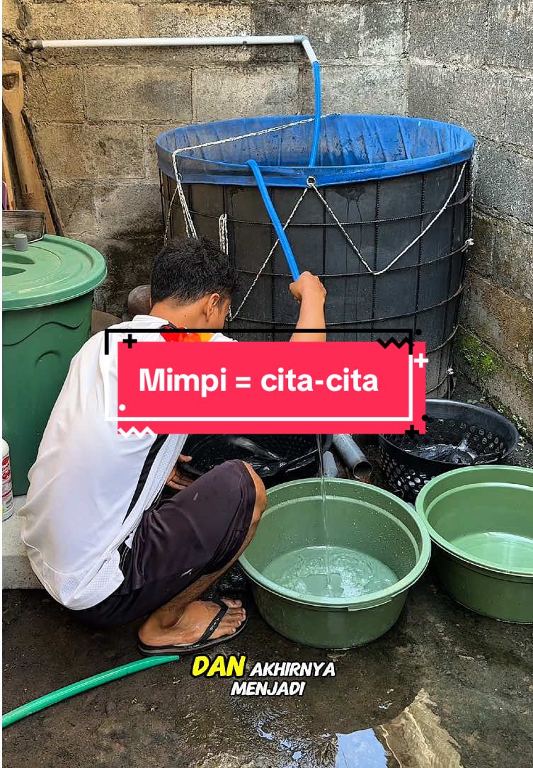 Mimpi kalau bisa dicapai itu namanya cita-cita #fyp #foryou #foryoupage #perikanan #bibitlele #lele #budidayalele #lelesangkuriang #lelemutiara #budidayaikan #budikdamber #motivation #pebisnismuda #suksesmuda #bosmuda #wirausahamuda #mindsetsukses #pengusahamuda #lelekonsumsi #petanilele #perintisbukanpewaris 