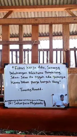 prei nongkrong seng gak bermanfaat 🫡 #jowostory #katakata #motivasi #storyjowo #jowopride #jowopride🔥 #capcut #tiktok #beranda #quotes #timothyronald  #academycrypto #peternakmudaindonesia #peternakkambing #suharfarmmojokerto #mojokerto24jam #sobatngaret #buka24jam #fyp 