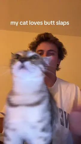 i saw someone else say their cat does this - ig: enbebaby