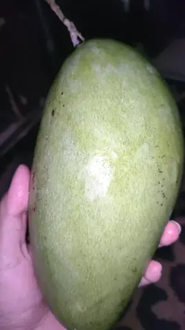 #manggakiojay #rujakmangga 